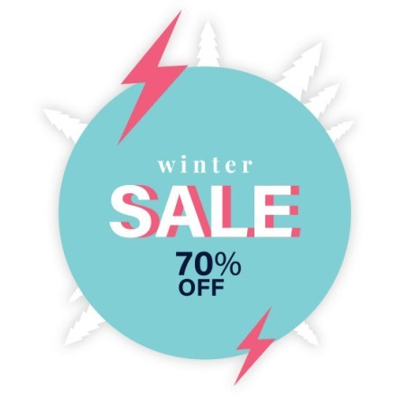 Winter Sale 70%